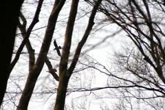 Killikus&reg; Fotographie